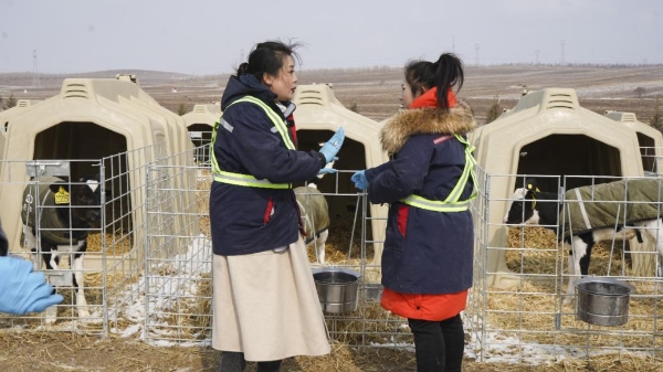  《求职高手女性职场季》现代畜牧之旅